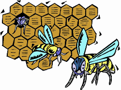 bijen honingraat